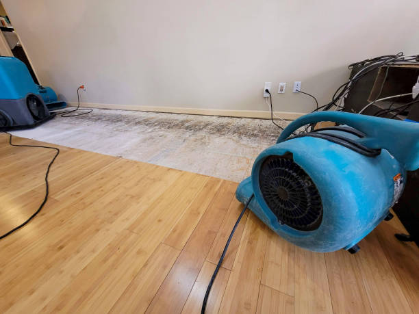 Professional Flood Damage Cleanup technician working in Rochester, MA